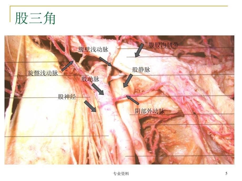 介入手术常用穿刺技术优质材料_第5页