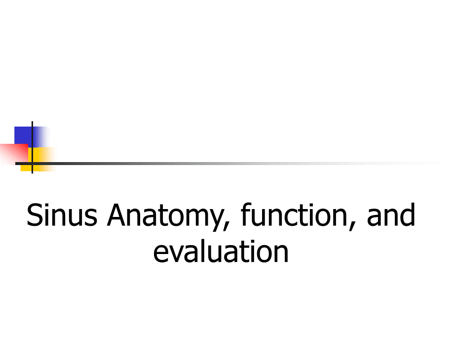 Sinus anatomy and function(2)_第1页