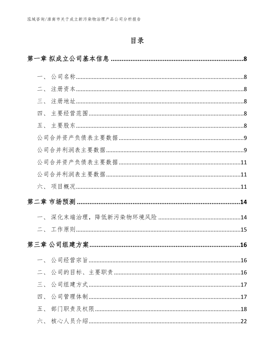 淮南市关于成立新污染物治理产品公司分析报告_第2页