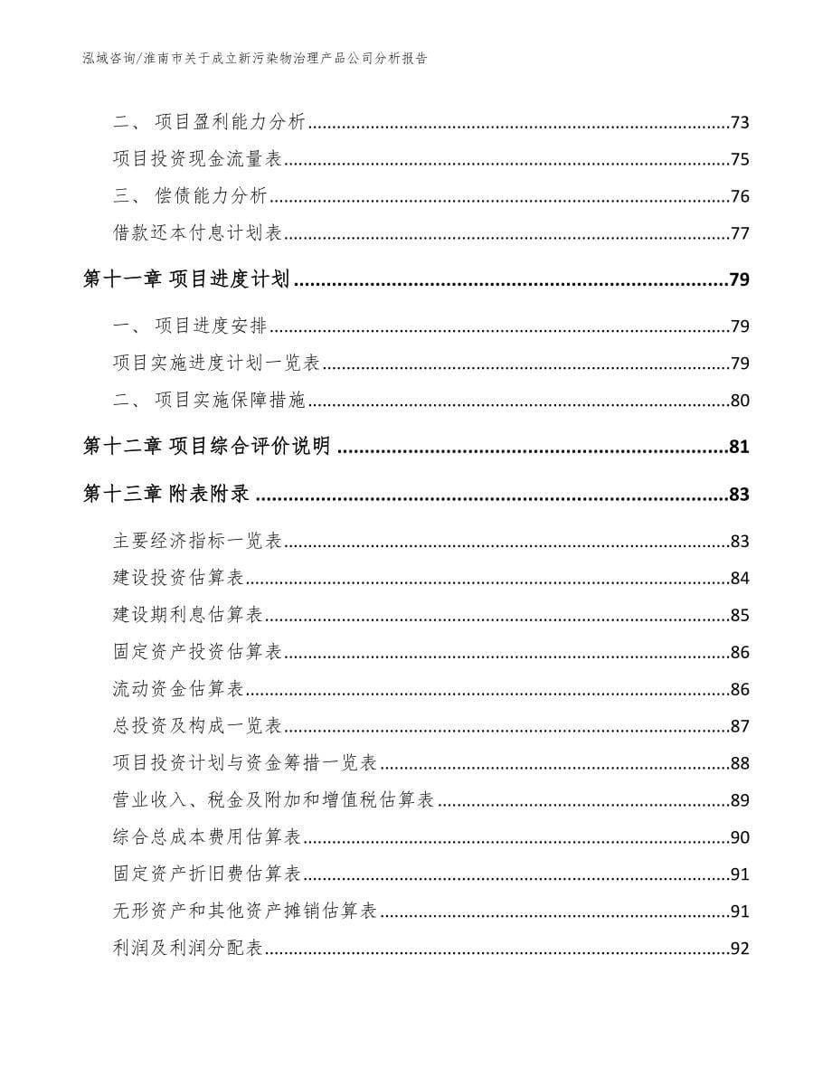 淮南市关于成立新污染物治理产品公司分析报告_第5页