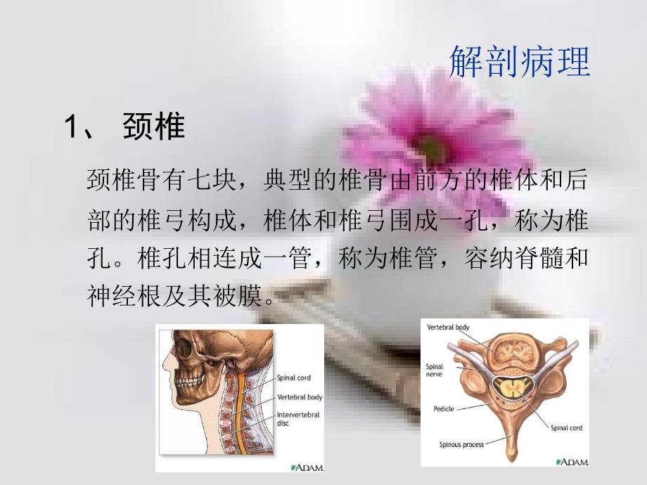 颈椎病康复评定.ppt_第3页