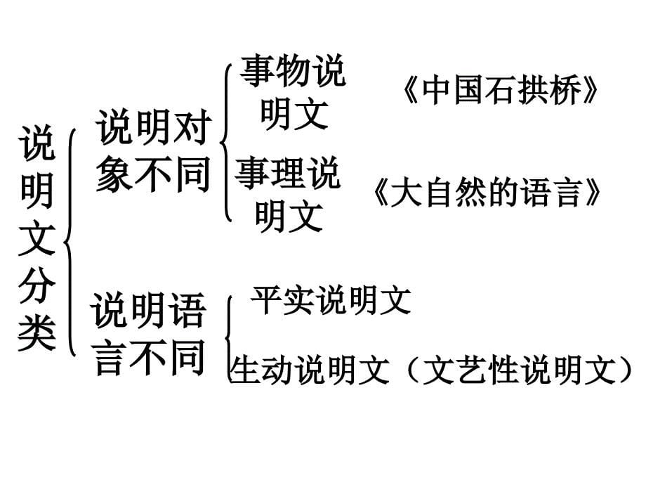 中考语文复习说明文阅读复习课件人教新课标版_第5页