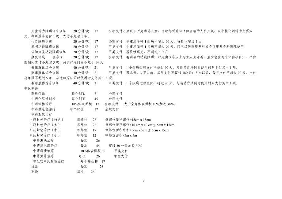 国家基本医疗保障医疗康复项目课件资料_第5页