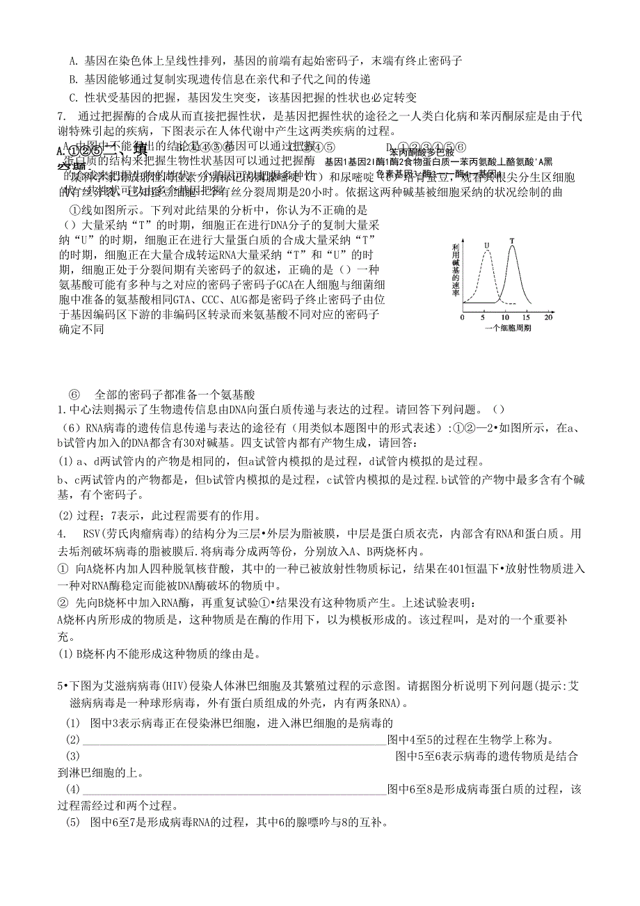 第4章第2节《基因对性状的控制》训练案_第2页