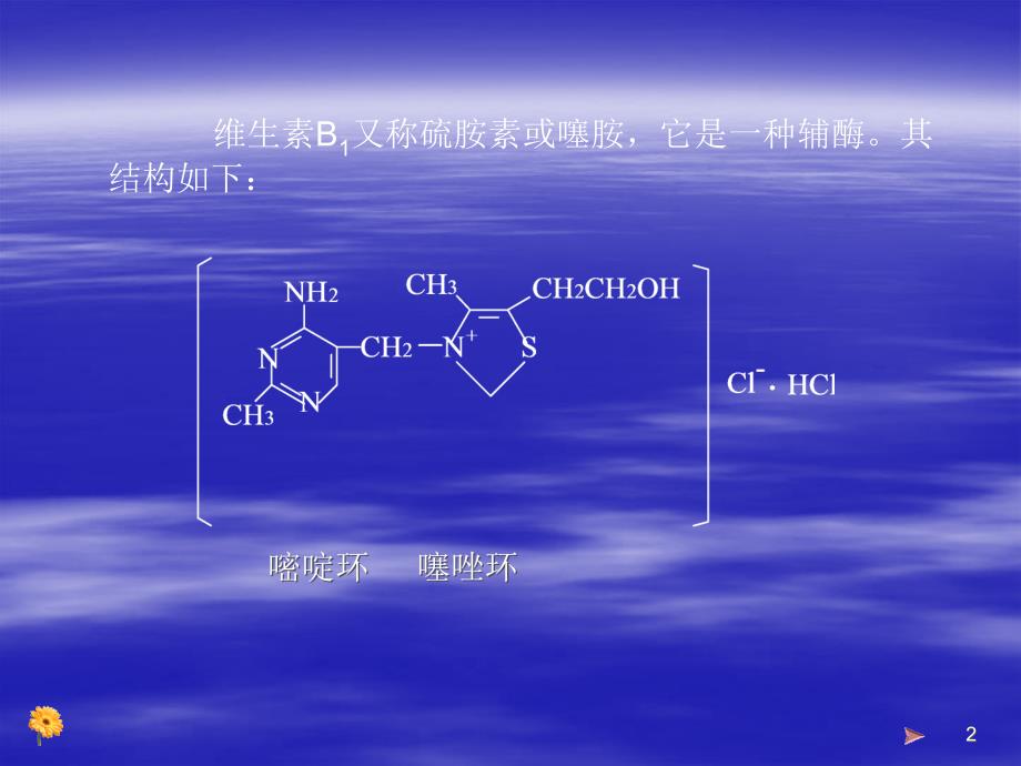 安息香的辅酶催化合成及转化_第2页