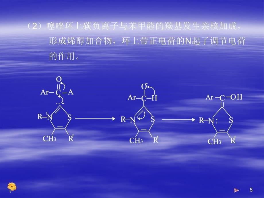 安息香的辅酶催化合成及转化_第5页