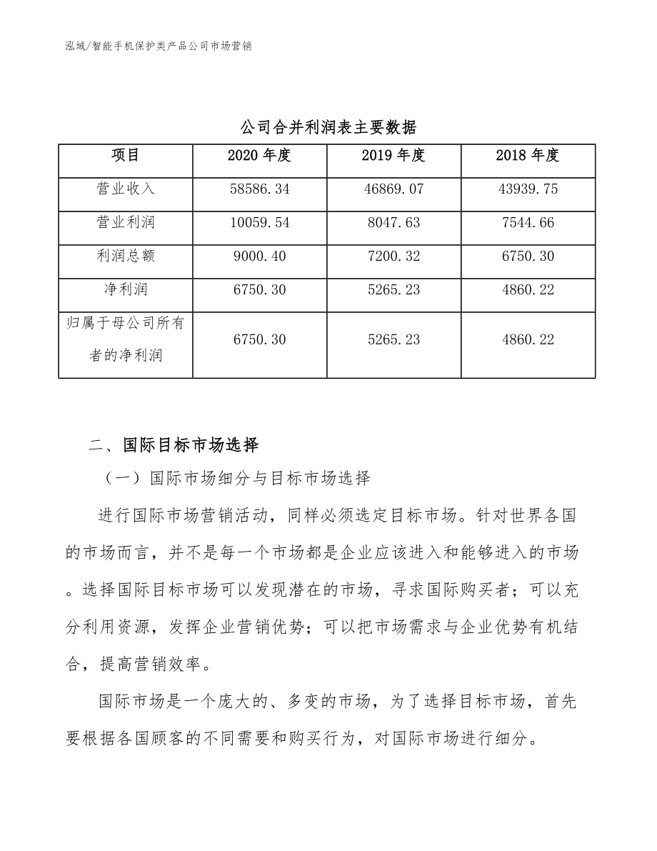 智能手机保护类产品公司市场营销_第4页