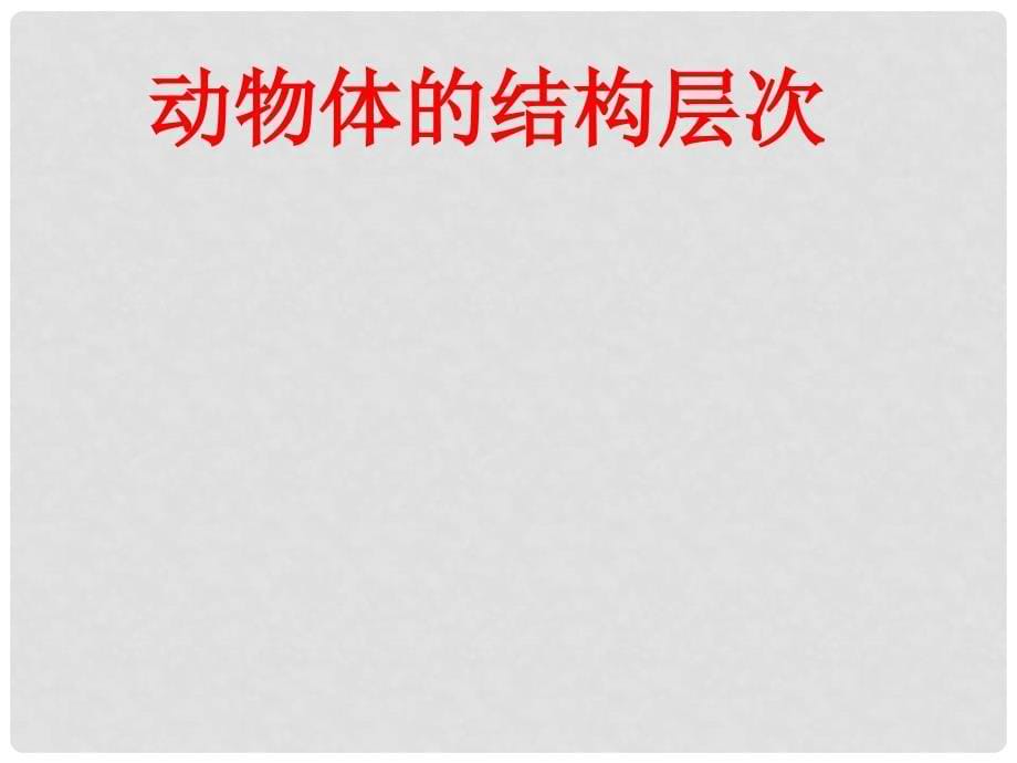 七年级生物上册 第二单元 第二章 第二节 动物体的结构层次教学课件 （新版）新人教版_第5页