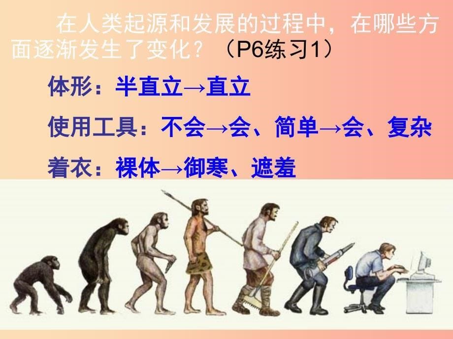 安徽省七年级生物下册4.1.1人类的起源和发展课件4 新人教版.ppt_第5页