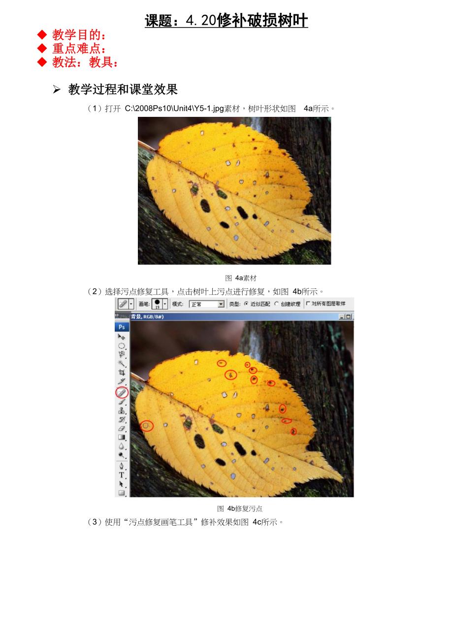 Photoshop课件 教案(修补破损树叶).doc_第1页