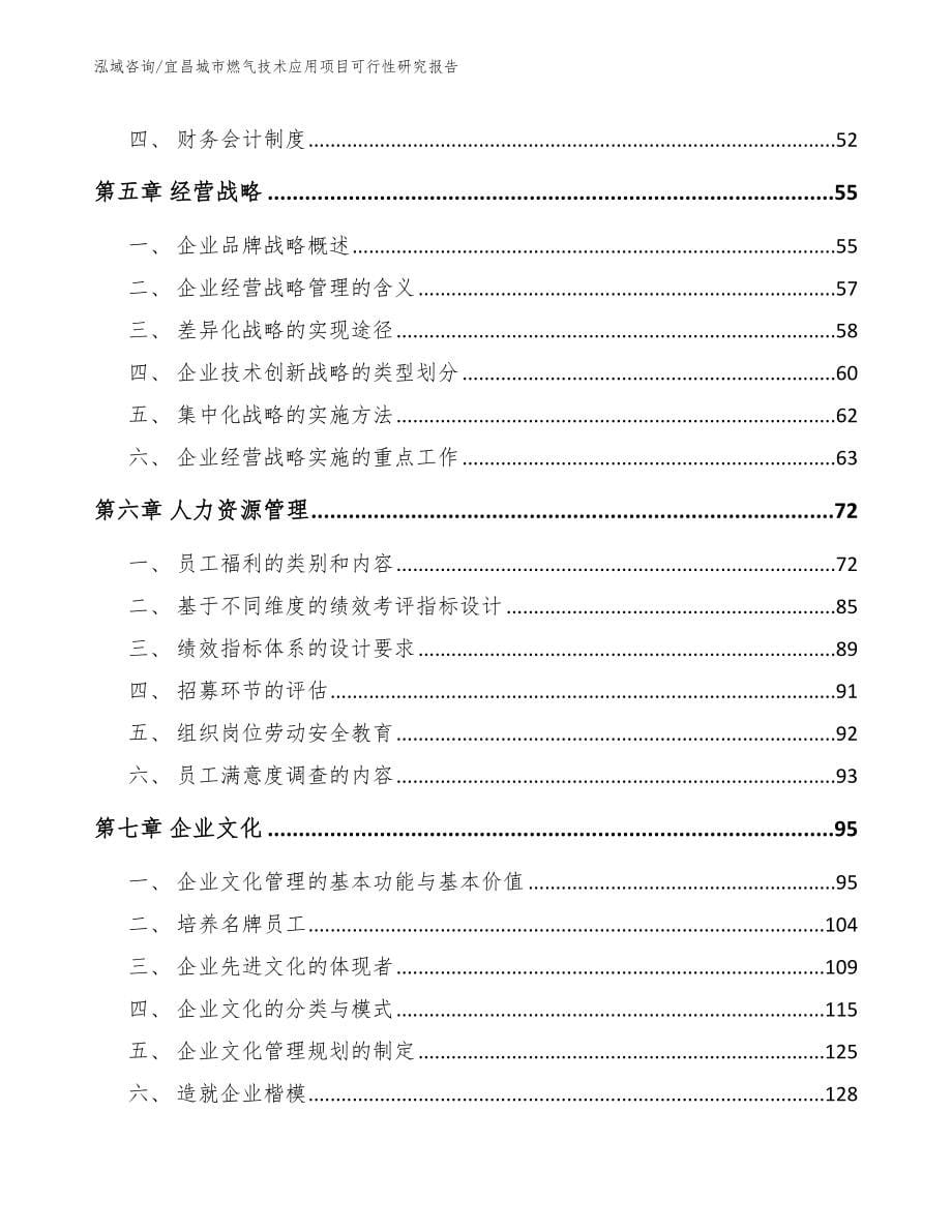 宜昌城市燃气技术应用项目可行性研究报告（模板）_第5页