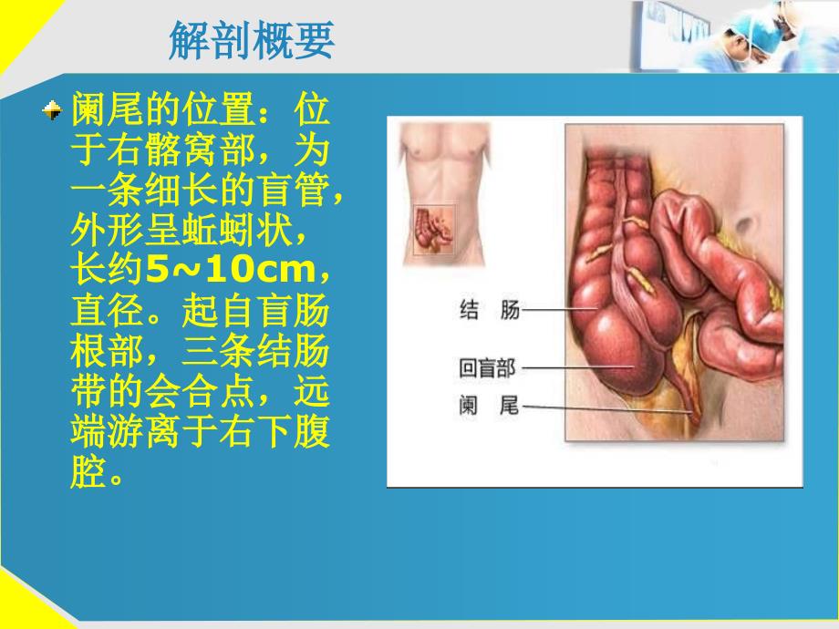 急性阑尾炎的诊断及治疗_第2页