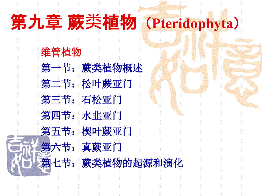 植物学教学课件：维管植物_第1页