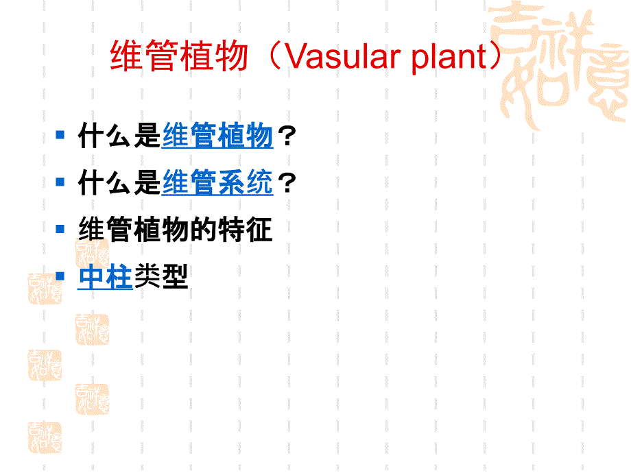 植物学教学课件：维管植物_第4页