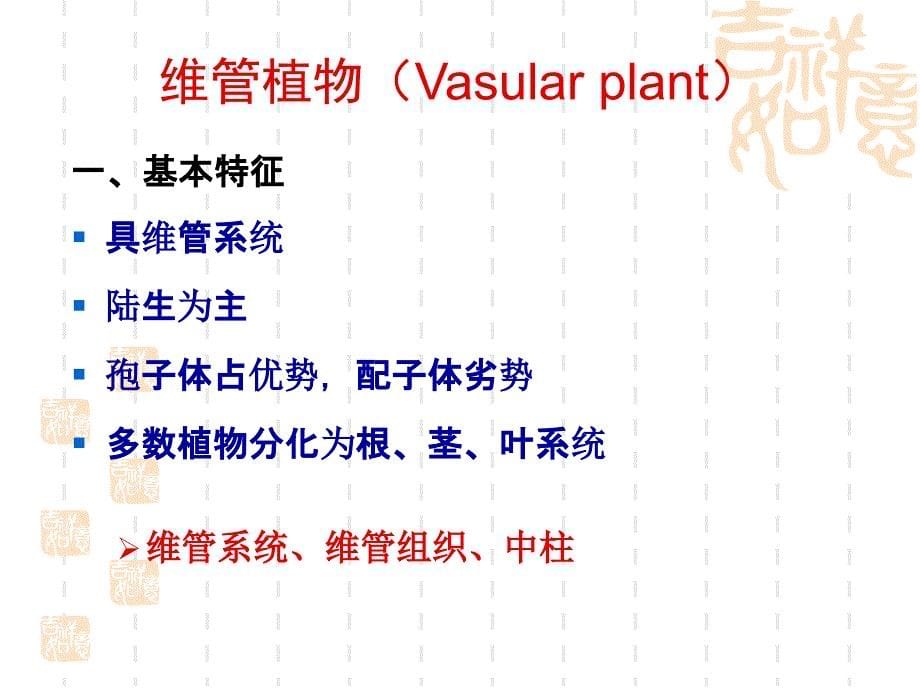 植物学教学课件：维管植物_第5页