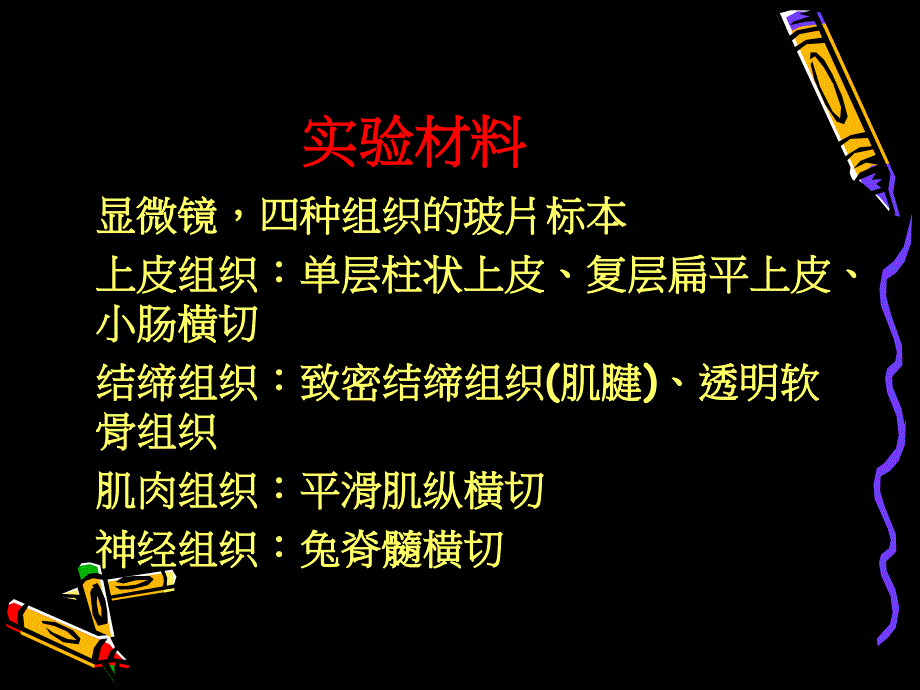 实验七动物四大基本组织观察PPT32页_第3页