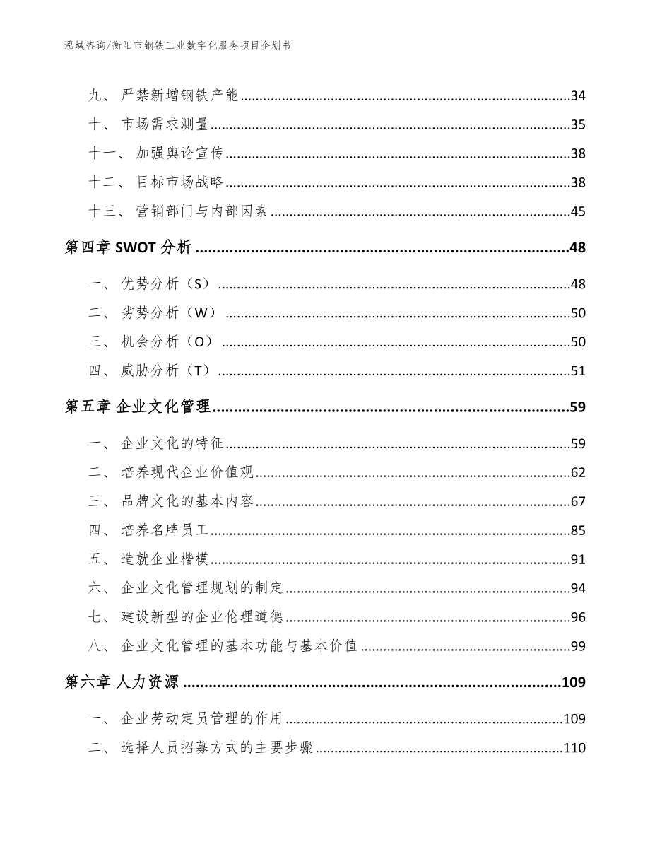 衡阳市钢铁工业数字化服务项目企划书_第3页