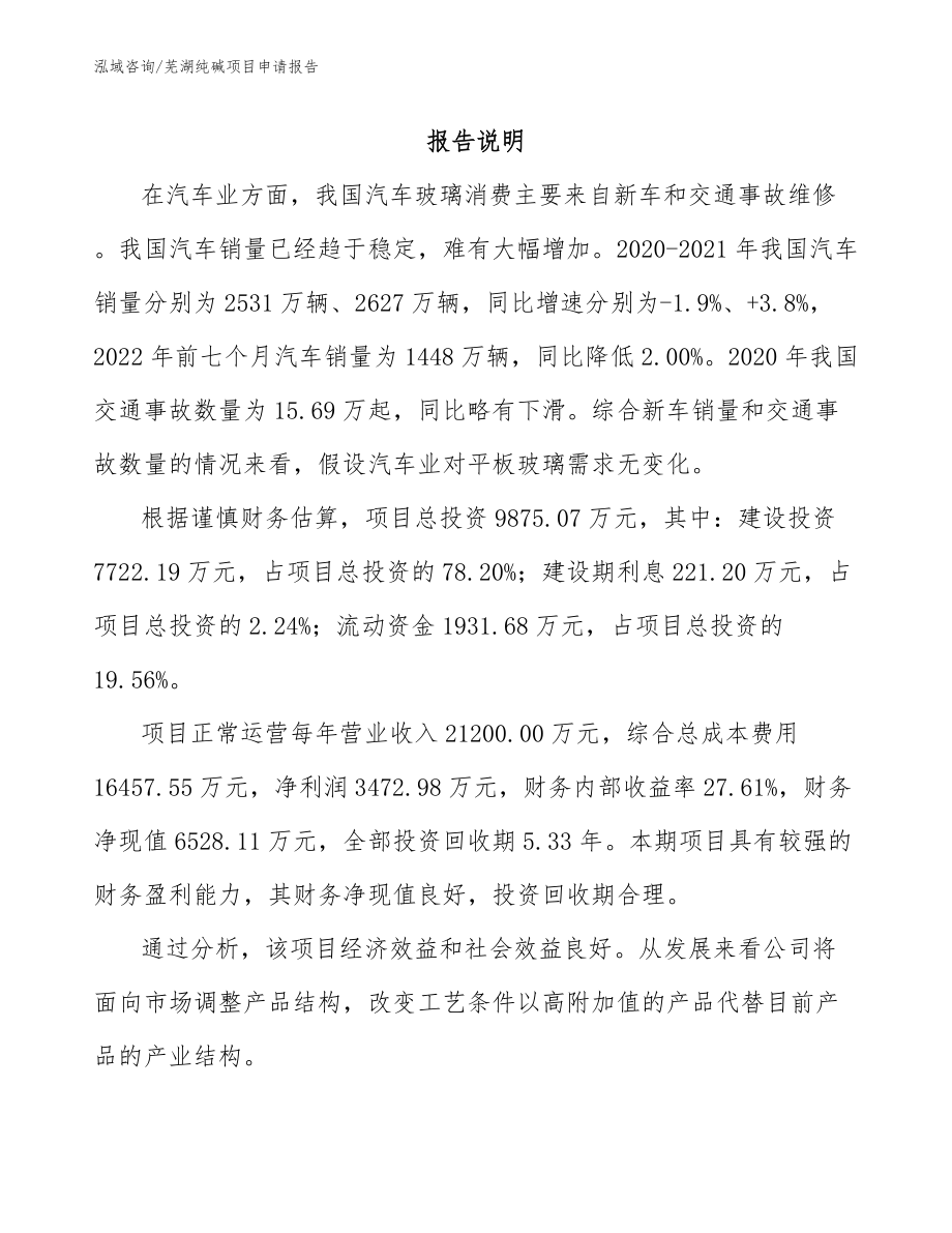芜湖纯碱项目申请报告【模板】_第1页