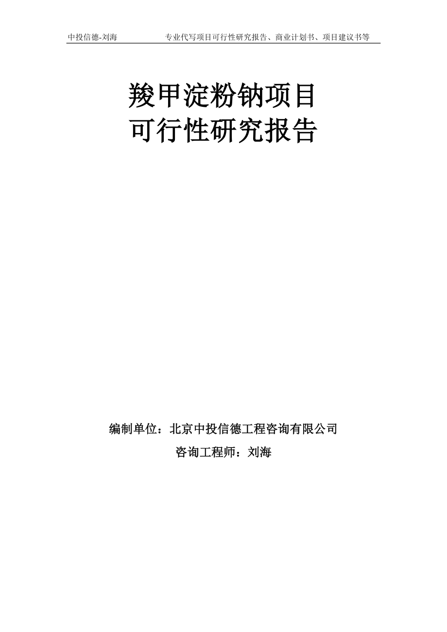 羧甲淀粉钠项目可行性研究报告模板-备案审批_第1页