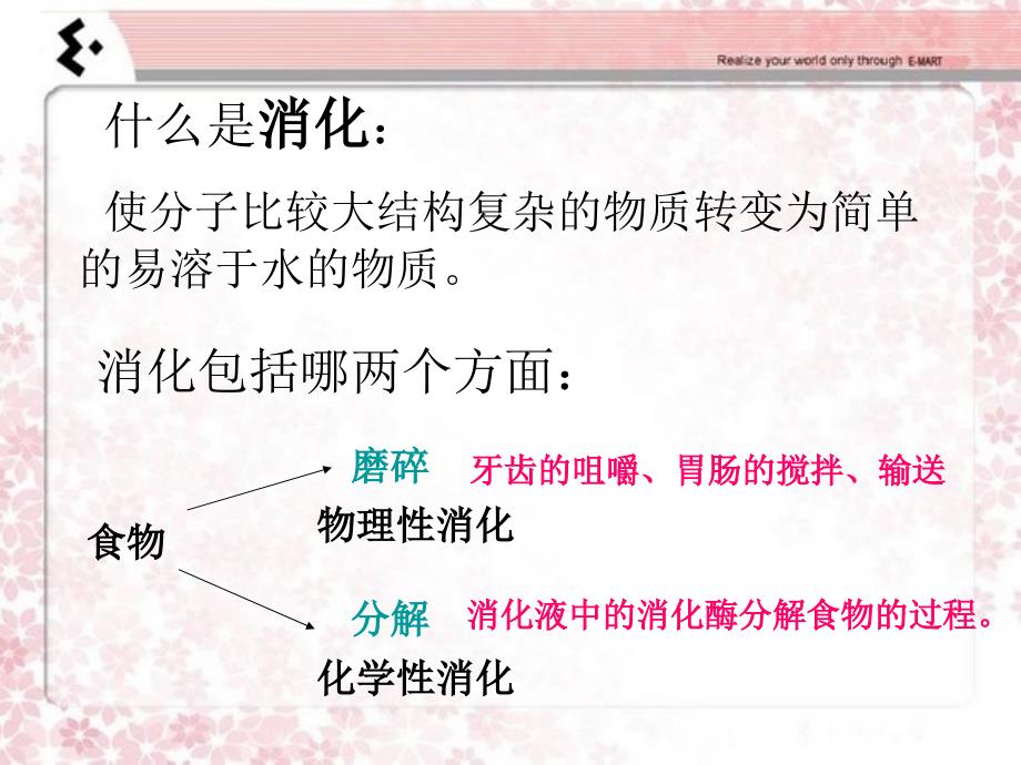 苏科生物人体对食物的消化吸收_第3页