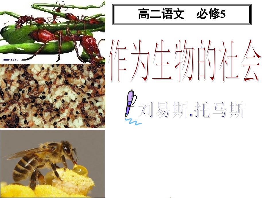 《作为生物的社会》优秀课件_第2页