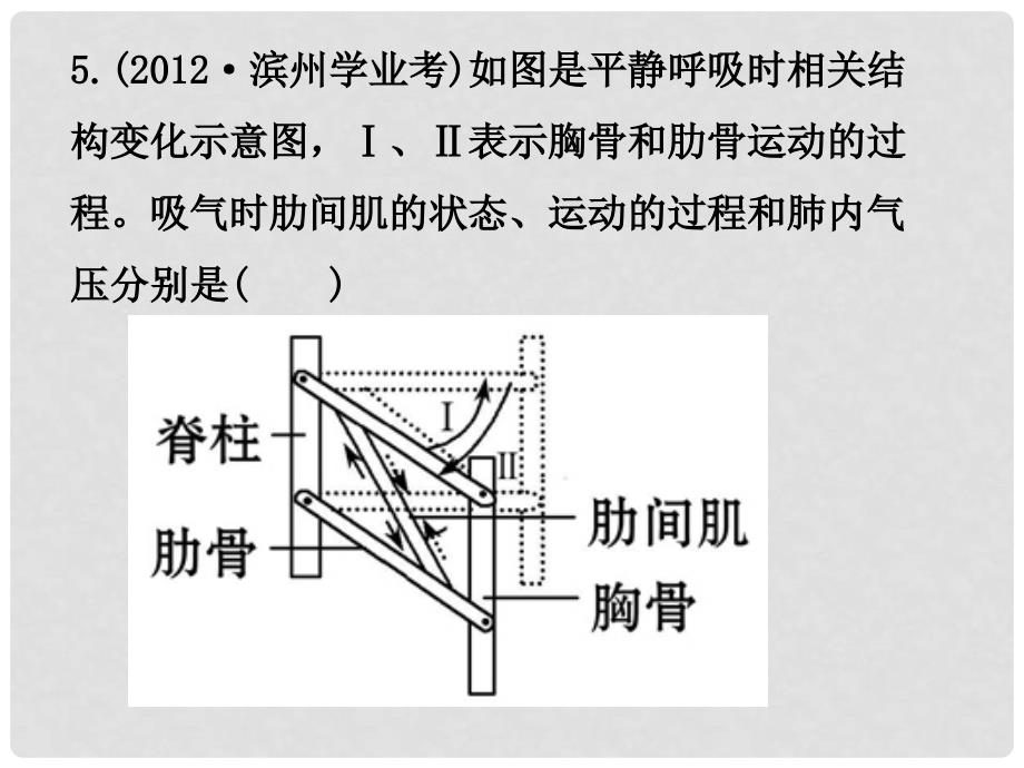 山东省邹平县实验中学七年级生物下册 3.3.3 物质运输的途径课件 （新版）济南版_第3页