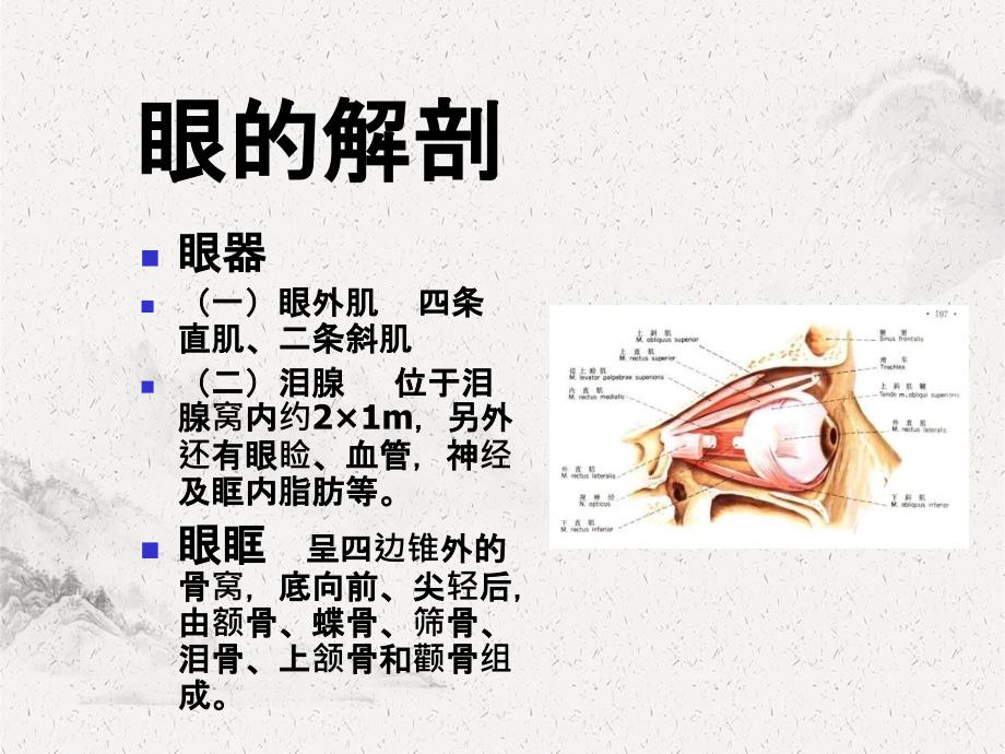 眼部疾病超声鉴别诊断_第3页