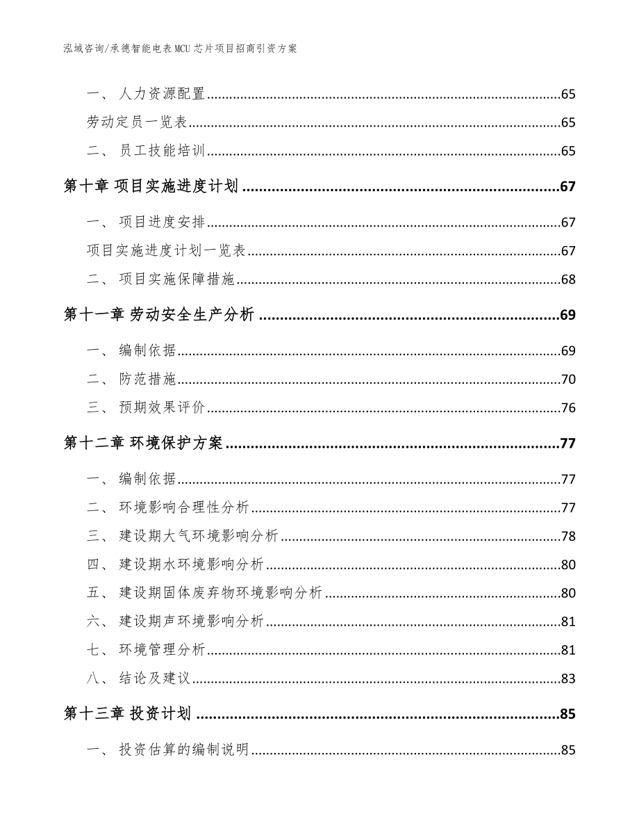 承德智能电表MCU芯片项目招商引资方案【模板范文】_第4页