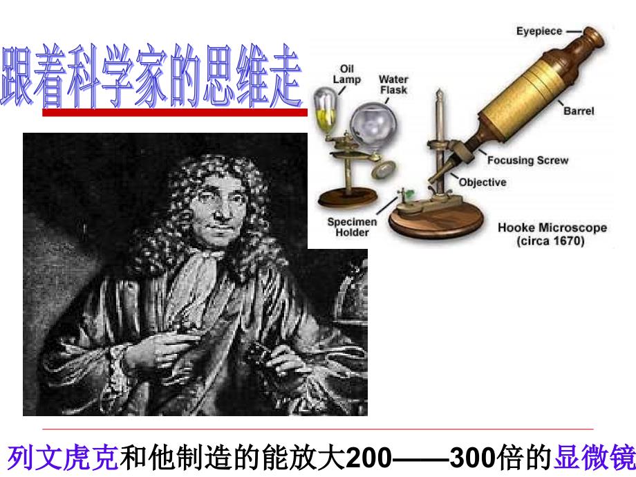 人教版八上生物5.4.2细菌课件_第3页