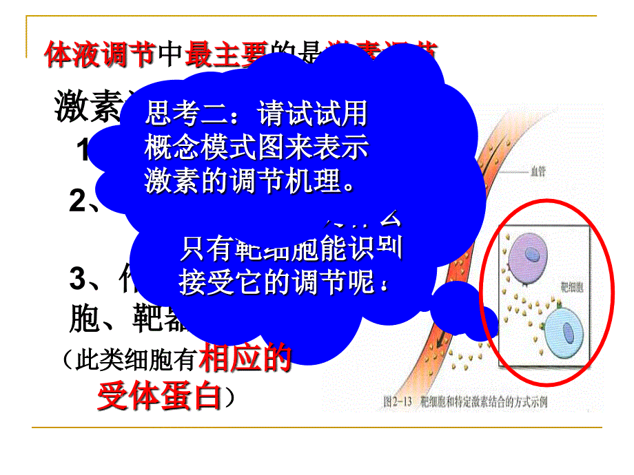 高等动物的内分泌系统与体液调节第一课时_第3页