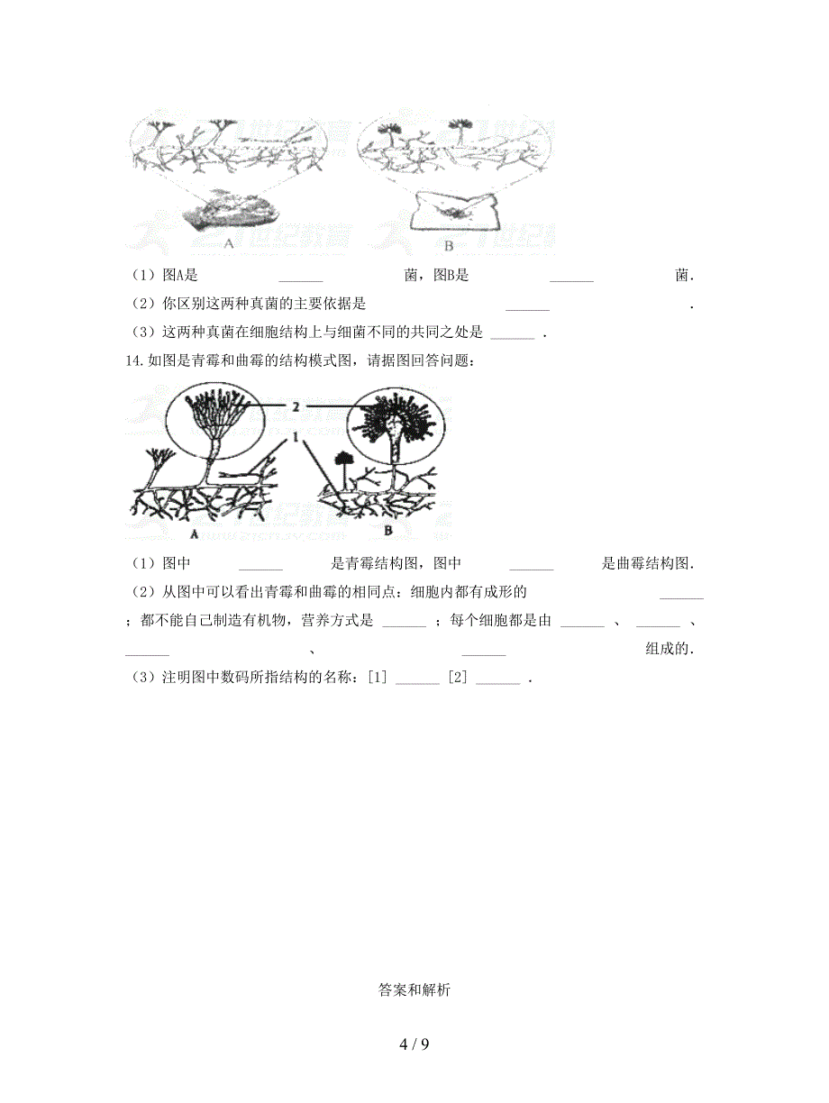 八年级生物上册543真菌练习.doc_第4页