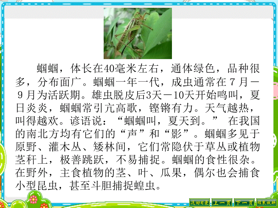 表里的生物PPT资料_第4页