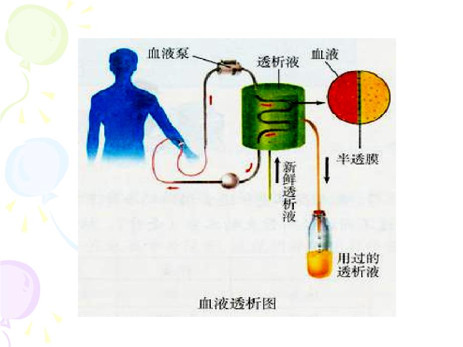 新课标人教版初中生物第四单元第五章人体内废物的排出课件_第2页