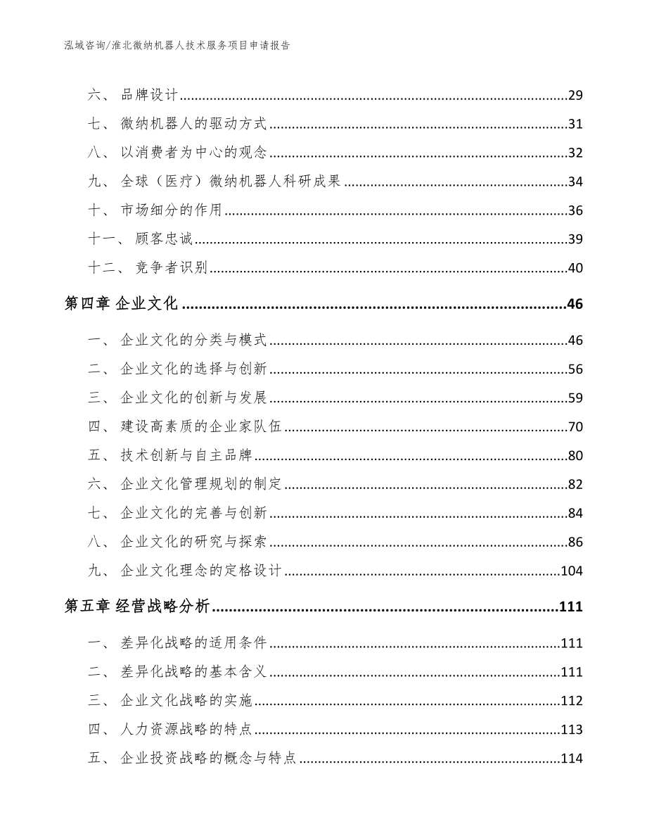 淮北微纳机器人技术服务项目申请报告_第4页