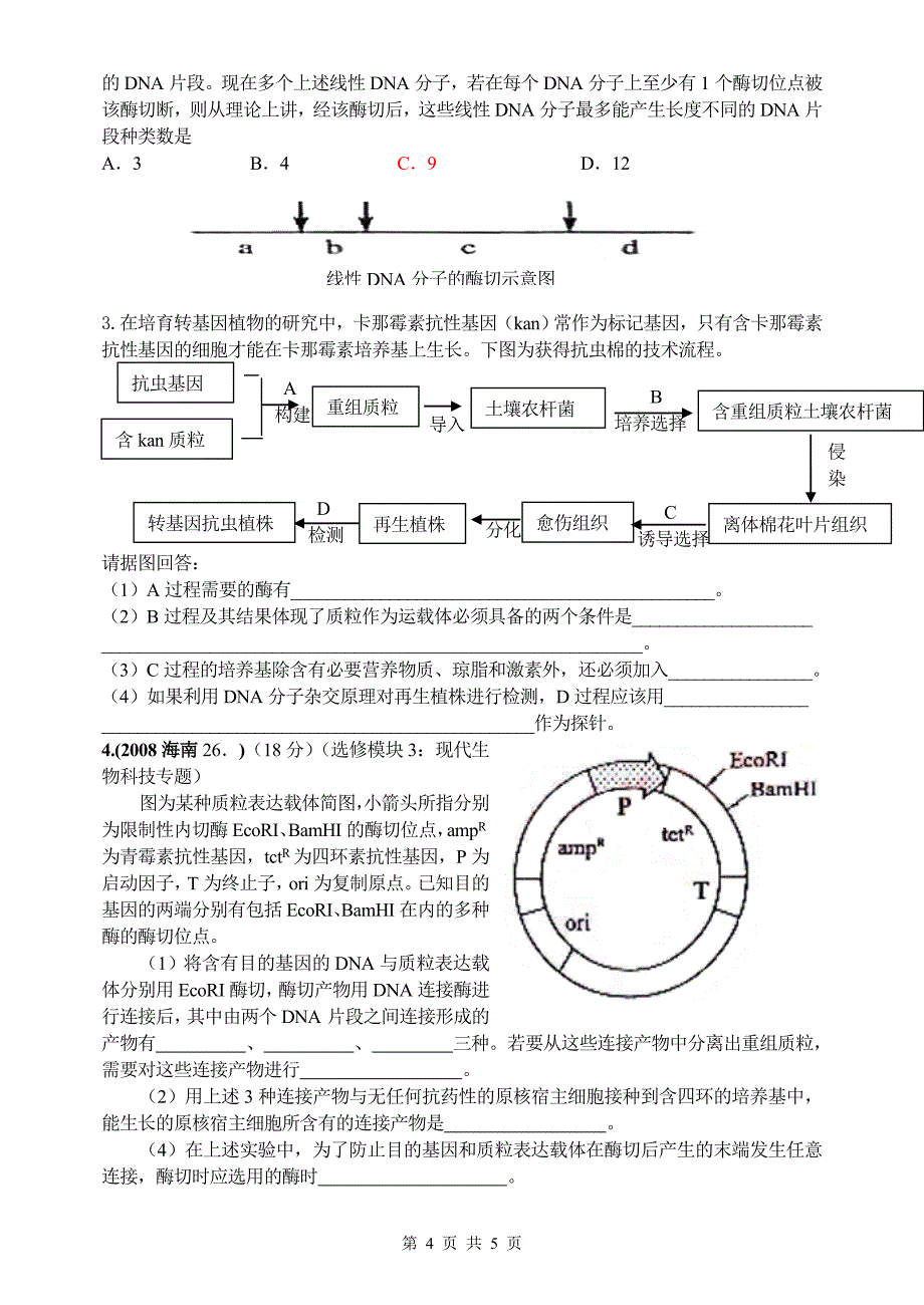 基因工程导学案11.doc_第4页