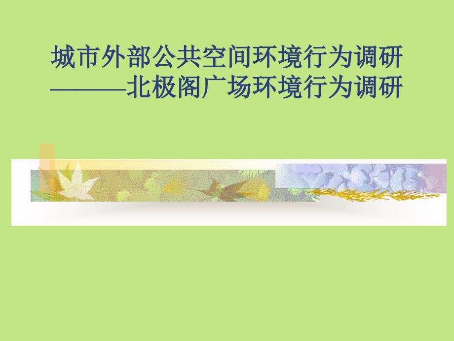 南京北极阁广场项目市场调研分析报告31页_第1页