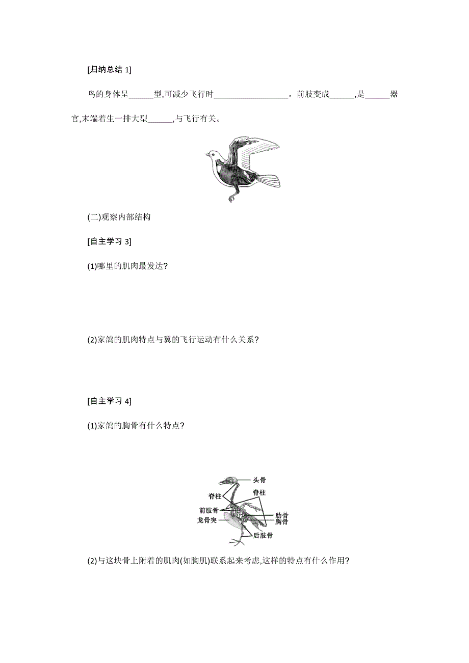 人教版八年级生物5.1.6鸟学案设计(二)_第3页