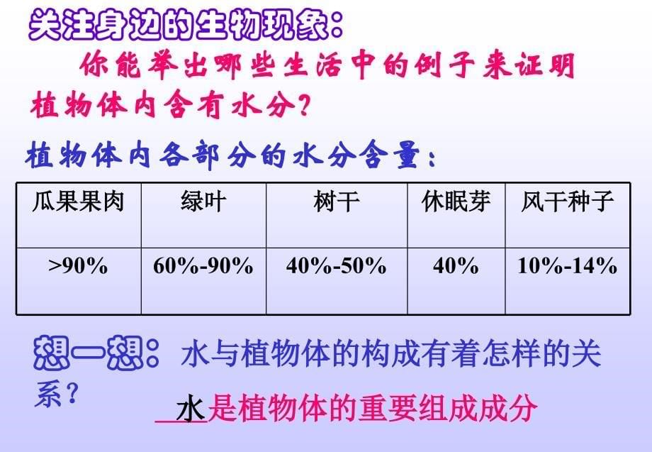 绿色植物的生活需要水_第5页