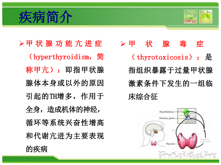 甲状腺疾病病例分析ppt课件_第4页