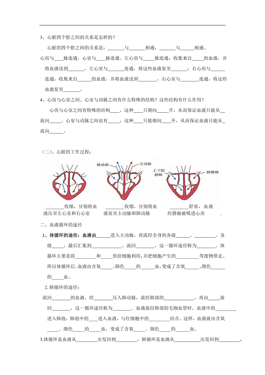第3节输送血液的泵——心脏_第2页