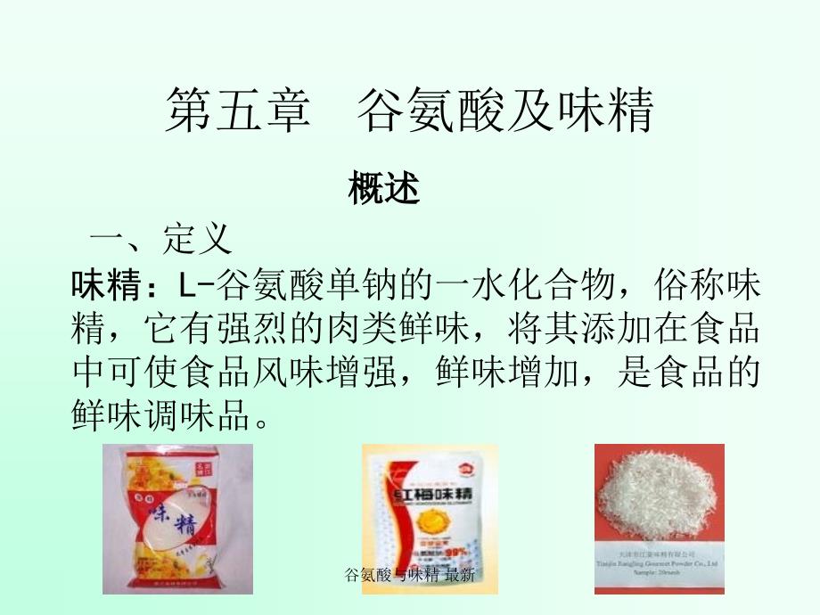 谷氨酸与味精最新课件_第1页