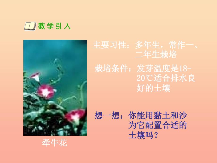 三年级科学下册三植物生活的土地第3课种在哪种土壤里好课件2新人教版_第4页