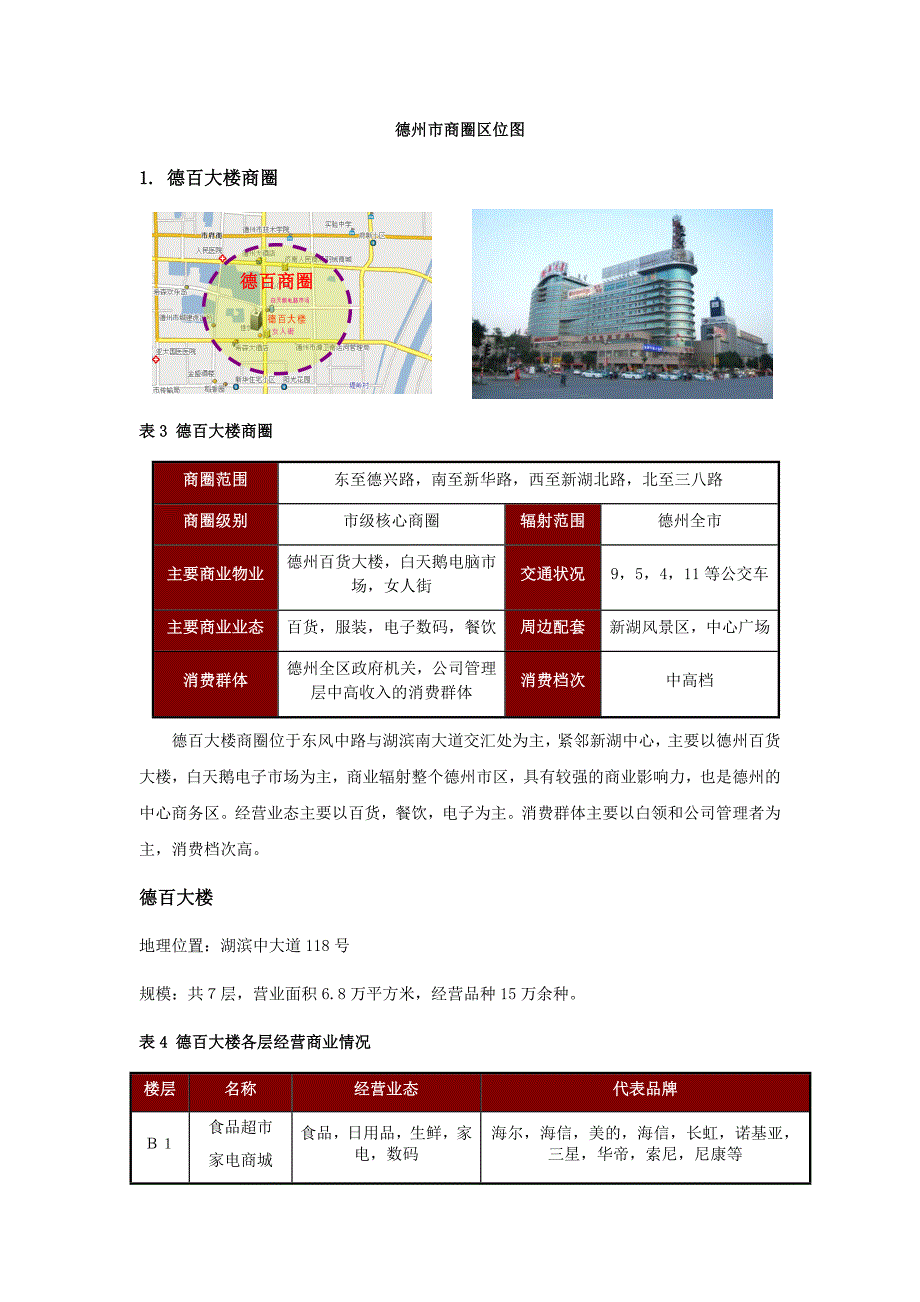 德州商业情况报告2_第3页