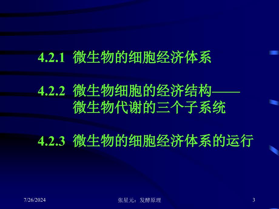 二节微生物细胞经济体系运行规律_第3页