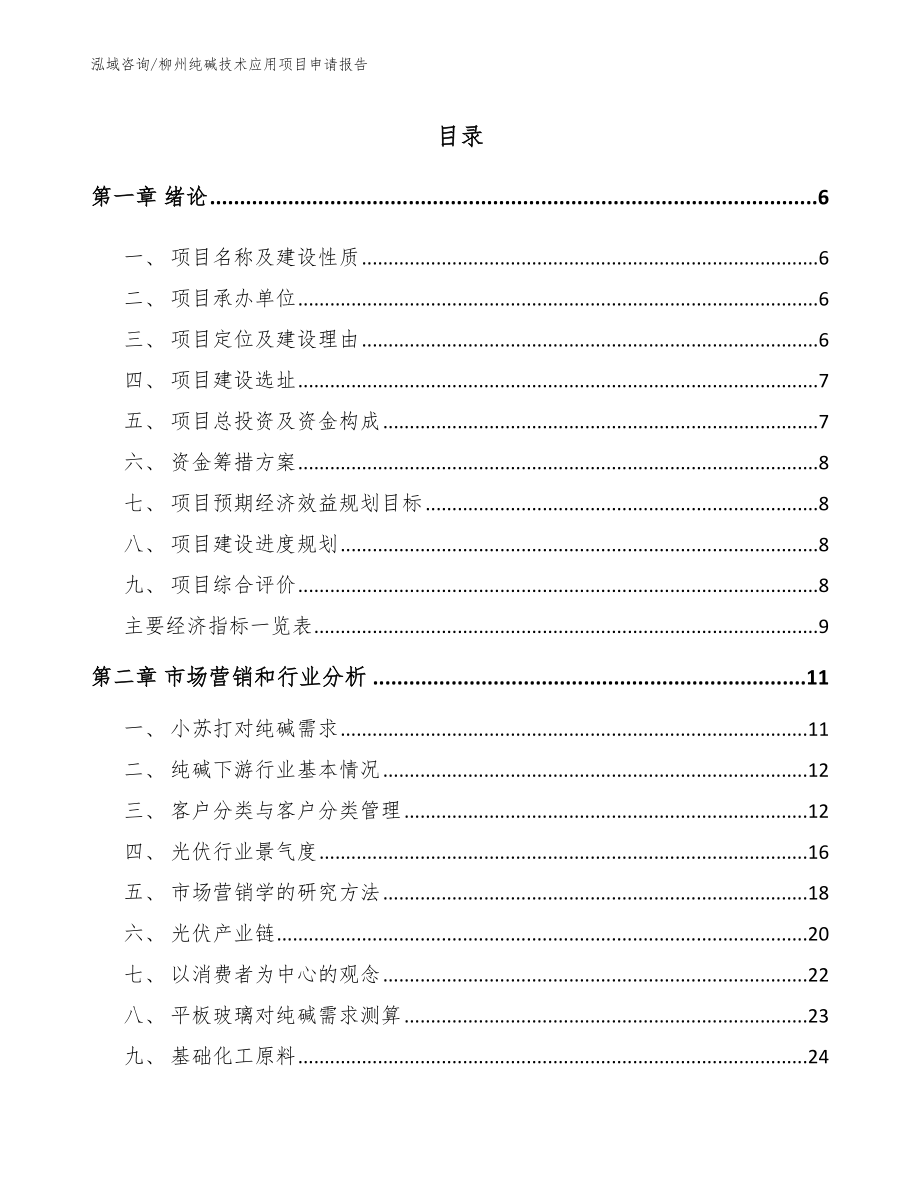 柳州纯碱技术应用项目申请报告_第2页