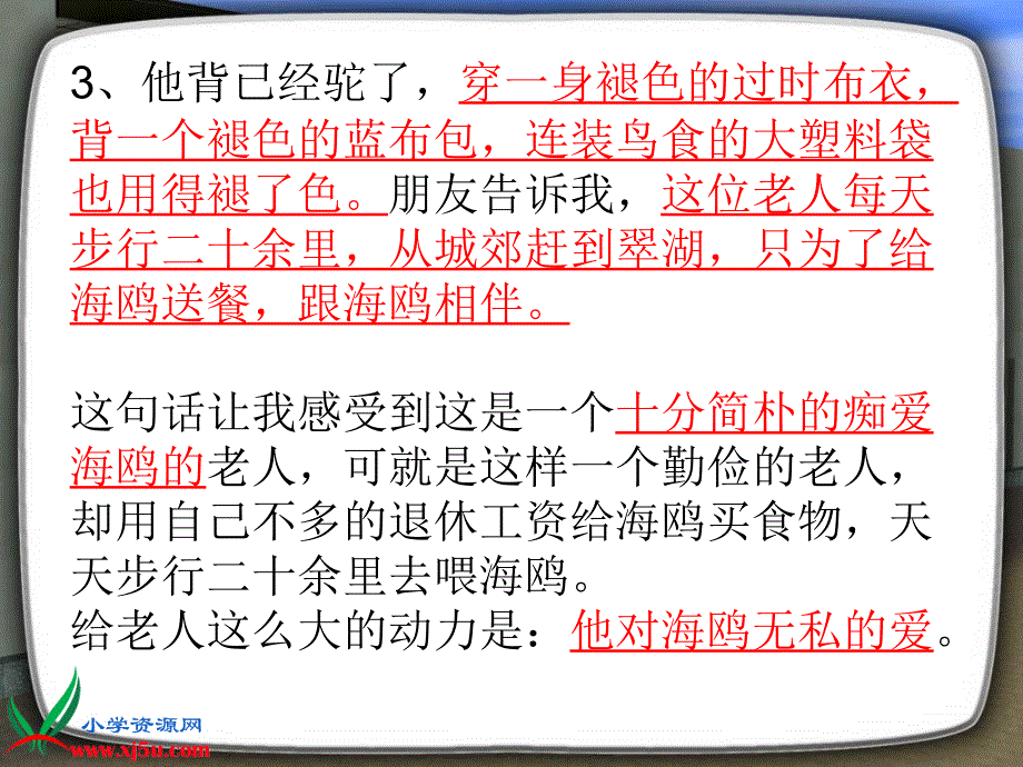 老人与海鸥复习课件_第3页