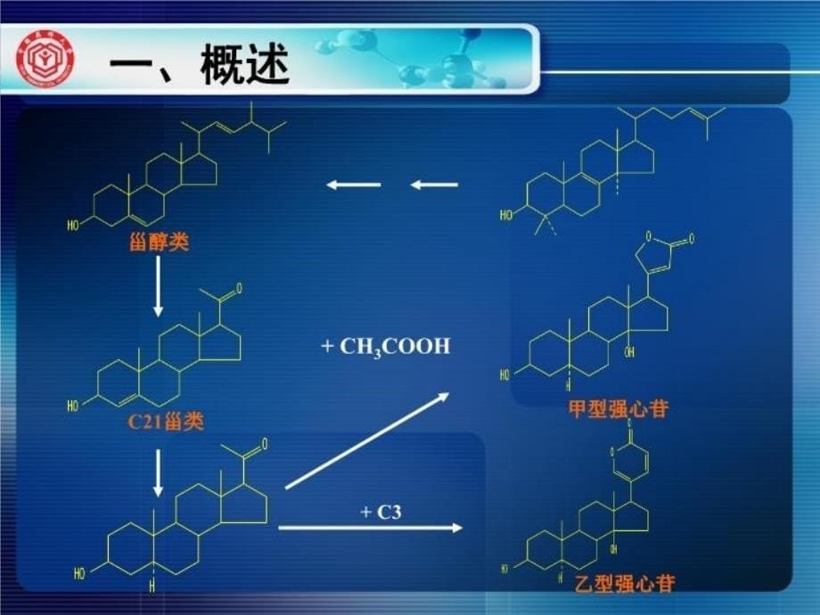 最新天然药化精品课程甾体PPT课件_第5页