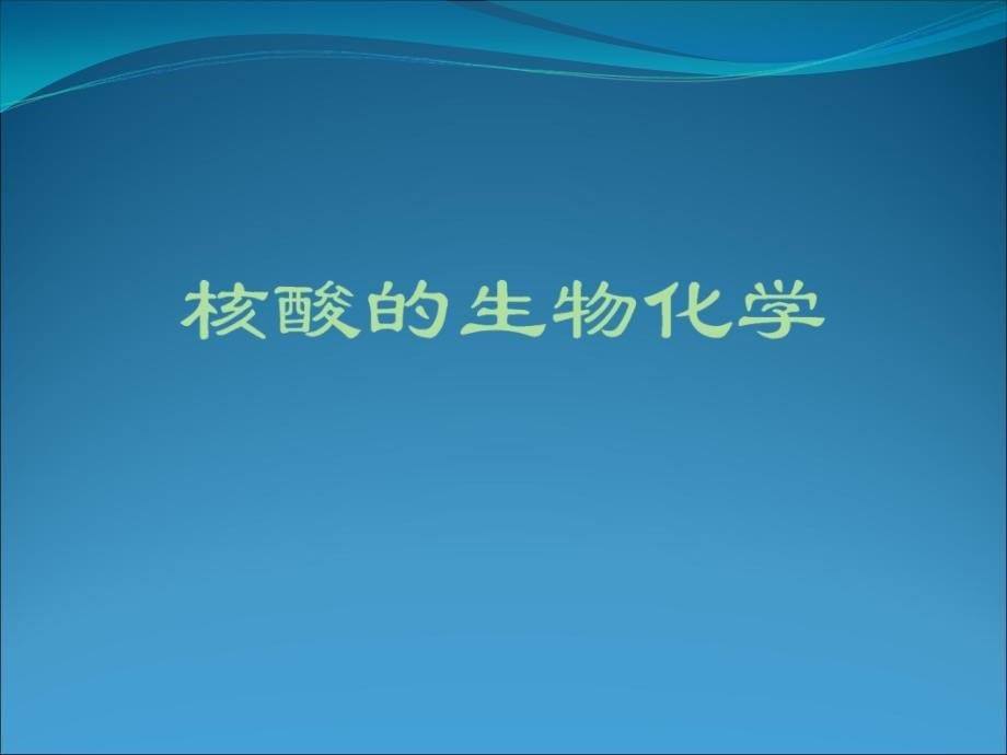 血站核酸检测PPT课件_第5页