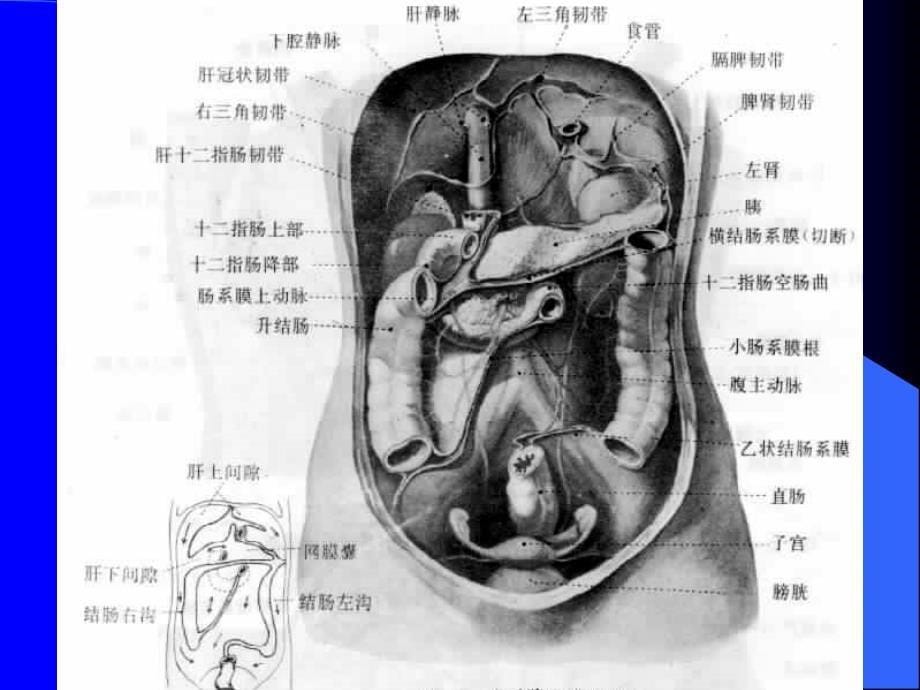 腹腔及腹膜后CT诊断1_第5页