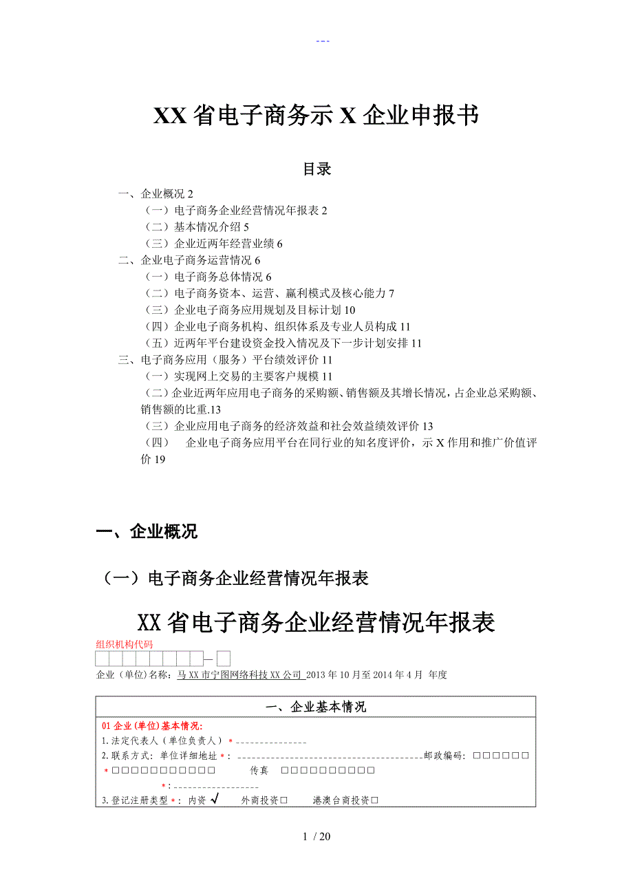 电子商务示范性企业申请报告书_第1页